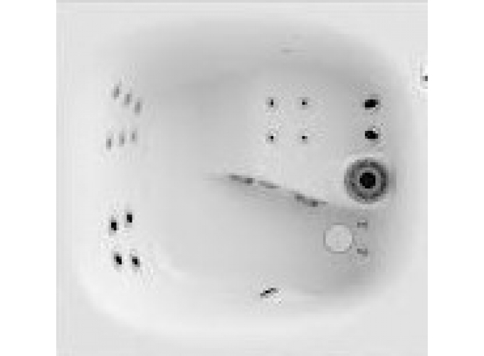 Гидромассажные Спа Бассейны JACUZZI